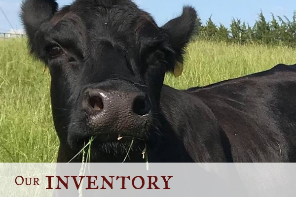 Click here to explore our pork & beef inventory 